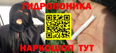 Альфа ПВП Ставрополь