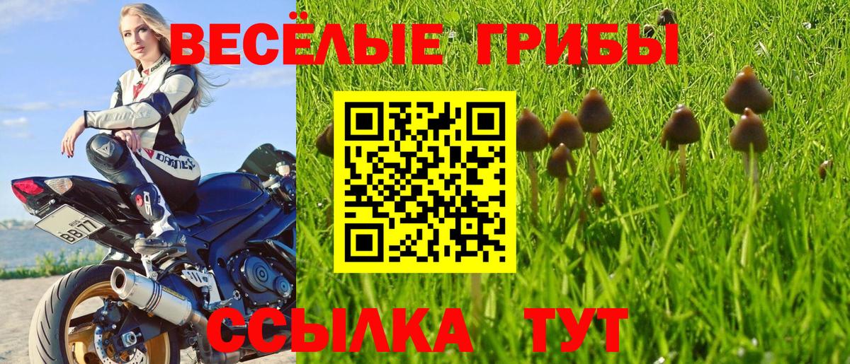 Новый Уренгой  где купить наркоту  Вход с VPN  Псилоцибиновые грибы Psilocybine cubensis 