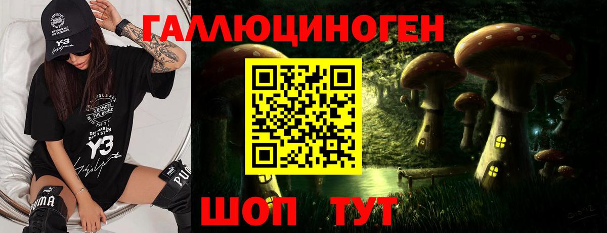 Экстази  Вход с VPN  ГАШ  Амфетамин   Меф МЯУ МЯУ кристаллы  Гашиш  Каннабис  Новый Уренгой  COCAIN 