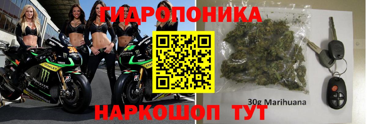 Конопля Bruce Banner  Канабис Amnesia  Бошки марихуана LSD WEED  МАРИХУАНА гибрид  Новый Уренгой  Вход с VPN 